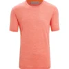 Icebreaker Sphere II SS Tee Herren Orange