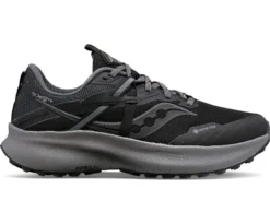 Saucony Ride 15 TR GTX Damen Black
